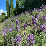 La Closerie De La Riviere, Sisteron
