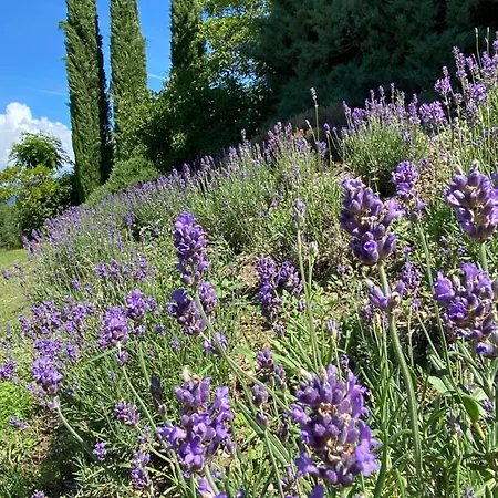 La Closerie De La Riviere, Sisteron