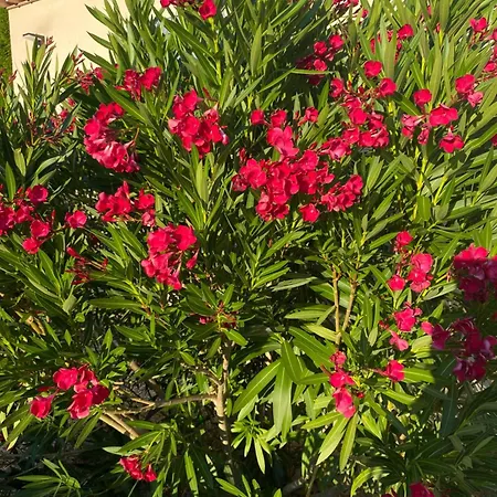 Holiday home La Closerie De La Riviere, Sisteron Bevons