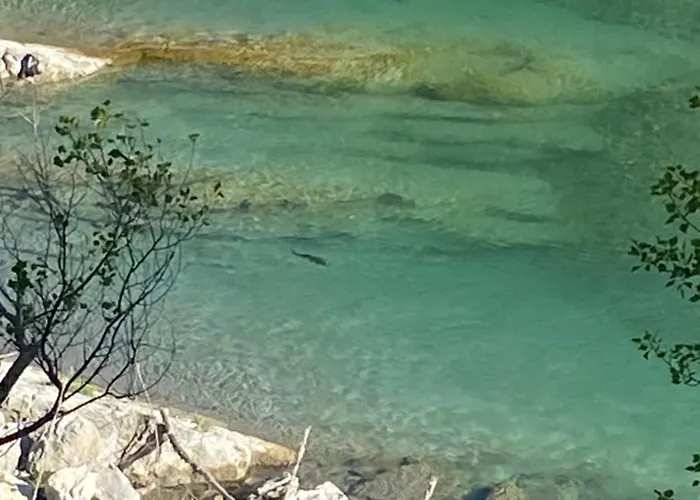 Vakantiehuis La Closerie De La Riviere, Sisteron Bevons